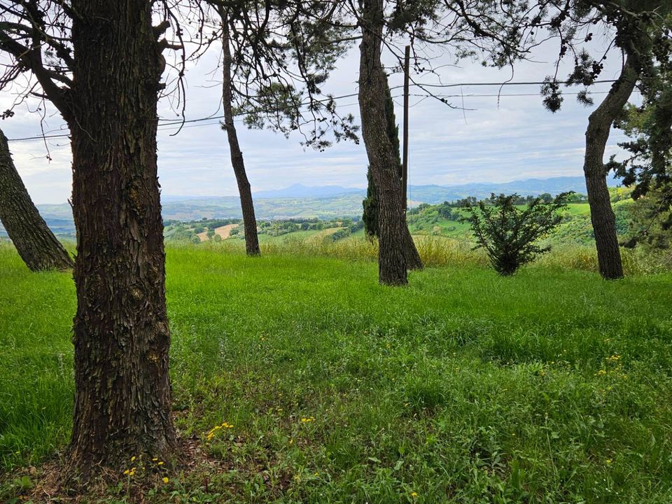 Maison de campagne - Cartoceto, Pesaro and Urbino - photo 2