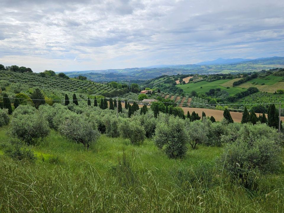 Maison de campagne - Cartoceto, Pesaro and Urbino - photo 3