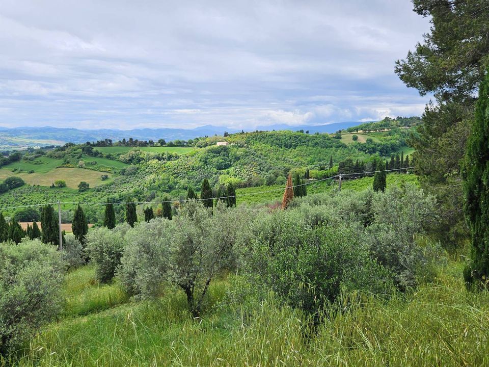 Maison de campagne - Cartoceto, Pesaro and Urbino - photo 4