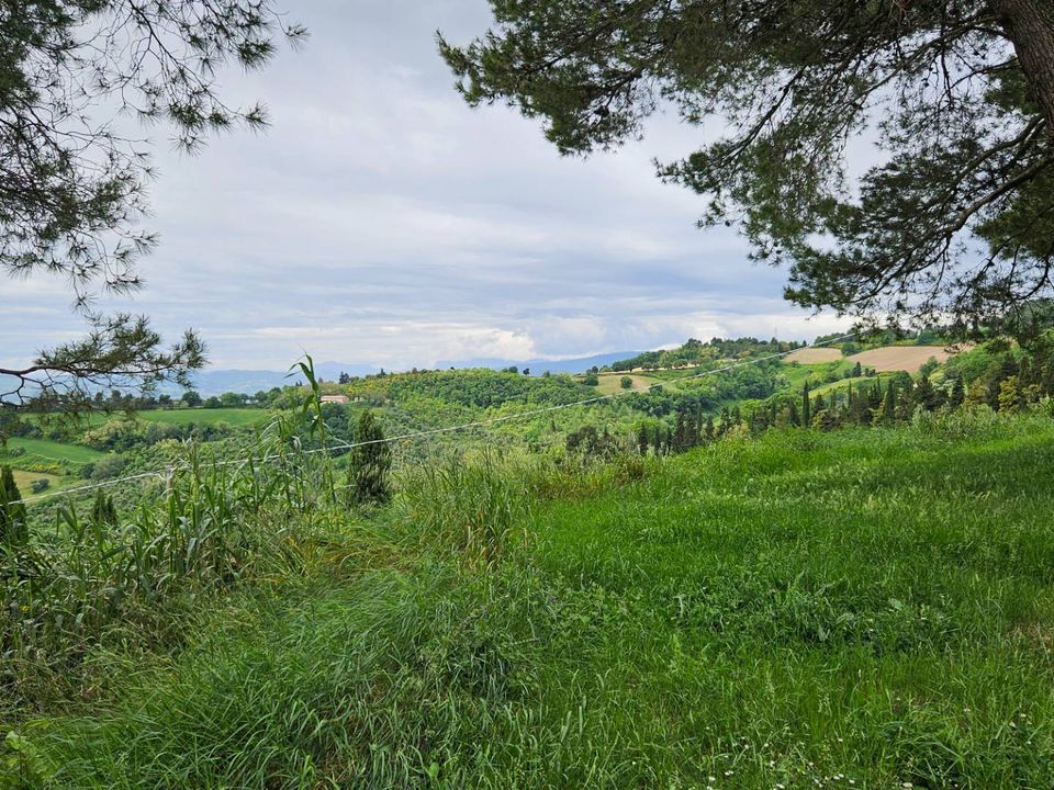 Maison de campagne - Cartoceto, Pesaro and Urbino - photo 5
