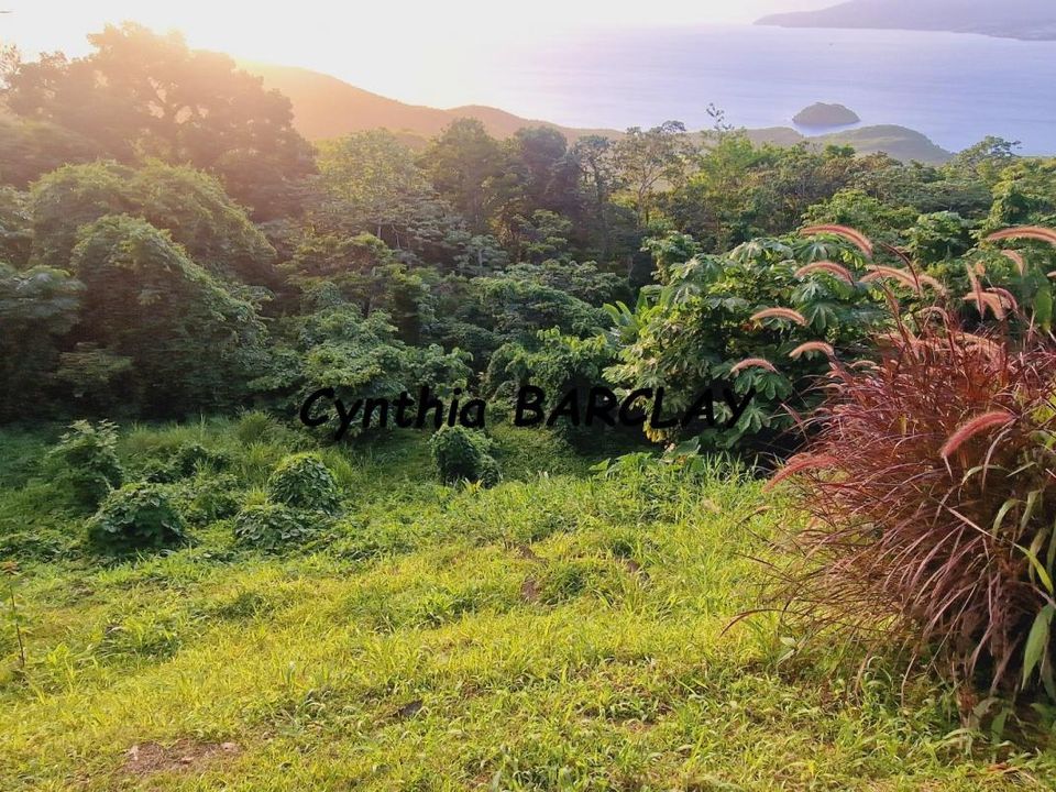 Villa i Les Anses-d'Arlet, Martinique - foto 2
