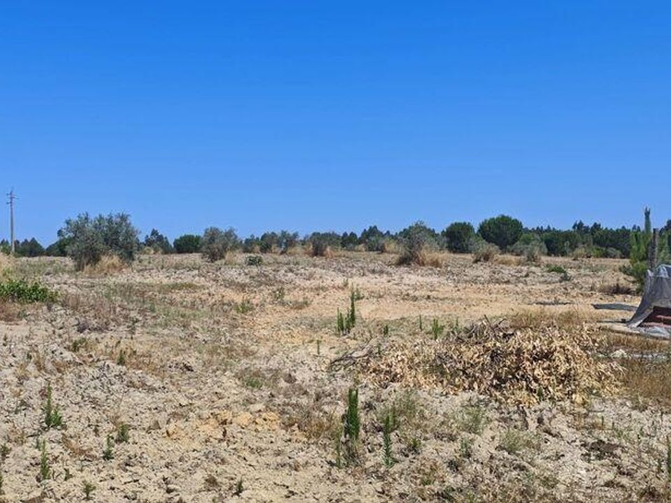 Helårsgrund i Coruche, Santarem - foto 2