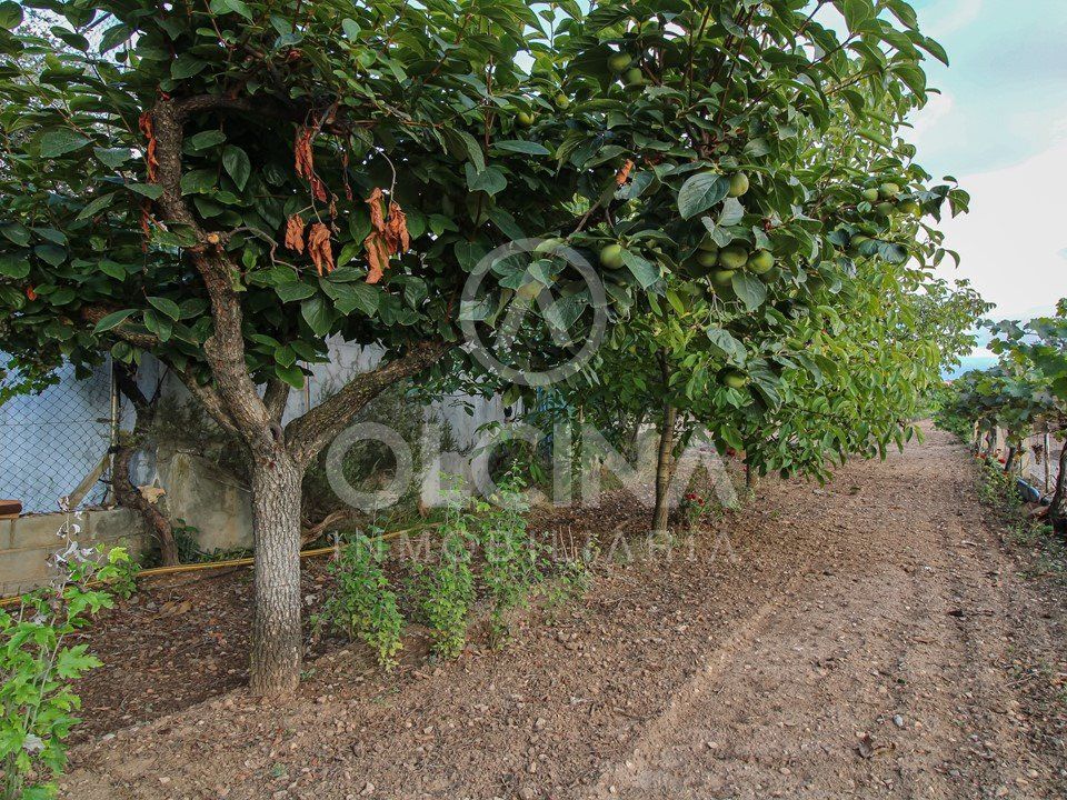 Terra a Onil, Alicante - foto 1