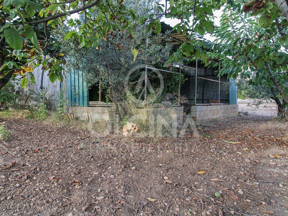 Terra a Onil, Alicante - foto 3