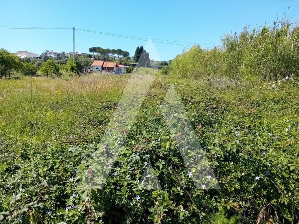 Helårsgrund i Mealhada, Aveiro - foto 1
