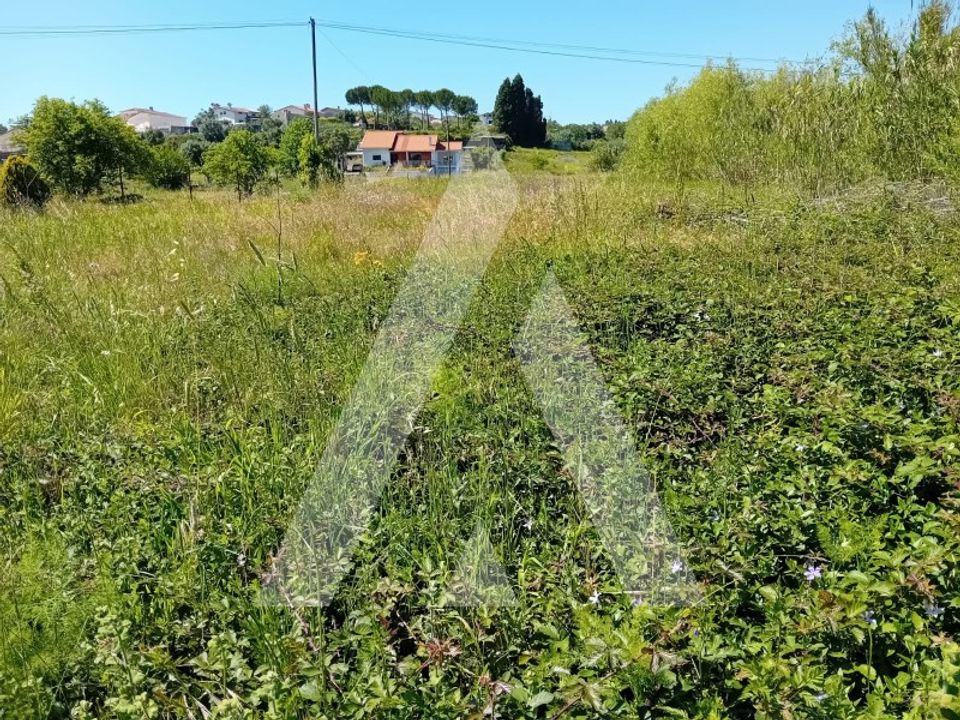Helårsgrund i Mealhada, Aveiro - foto 3