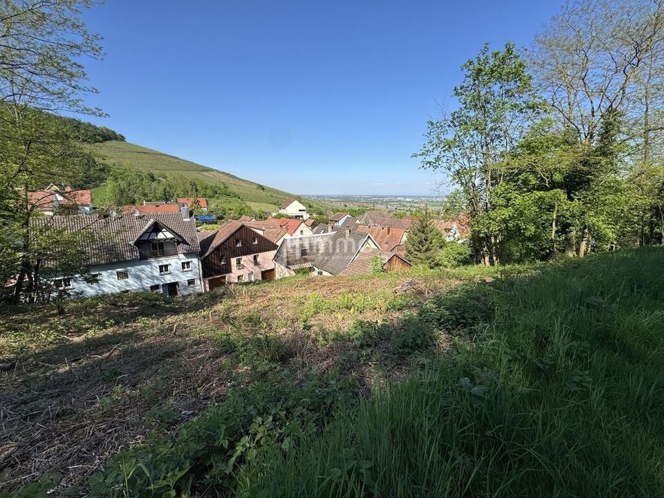 Helårsgrund i Orschwiller, Bas-Rhin - foto 1