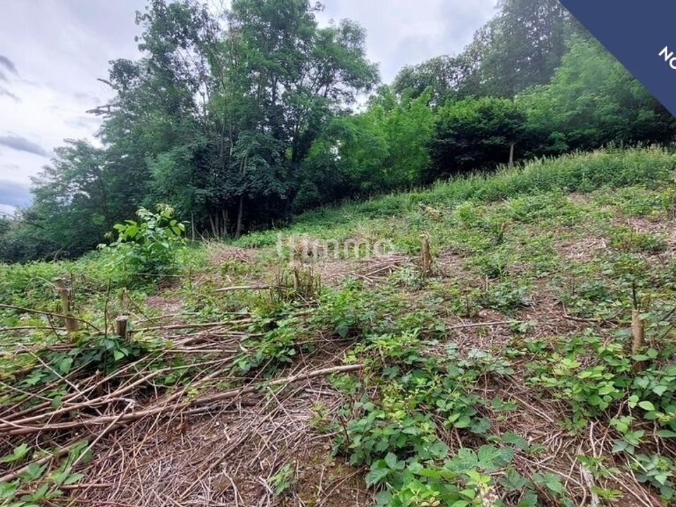 Helårsgrund i Orschwiller, Bas-Rhin - foto 3