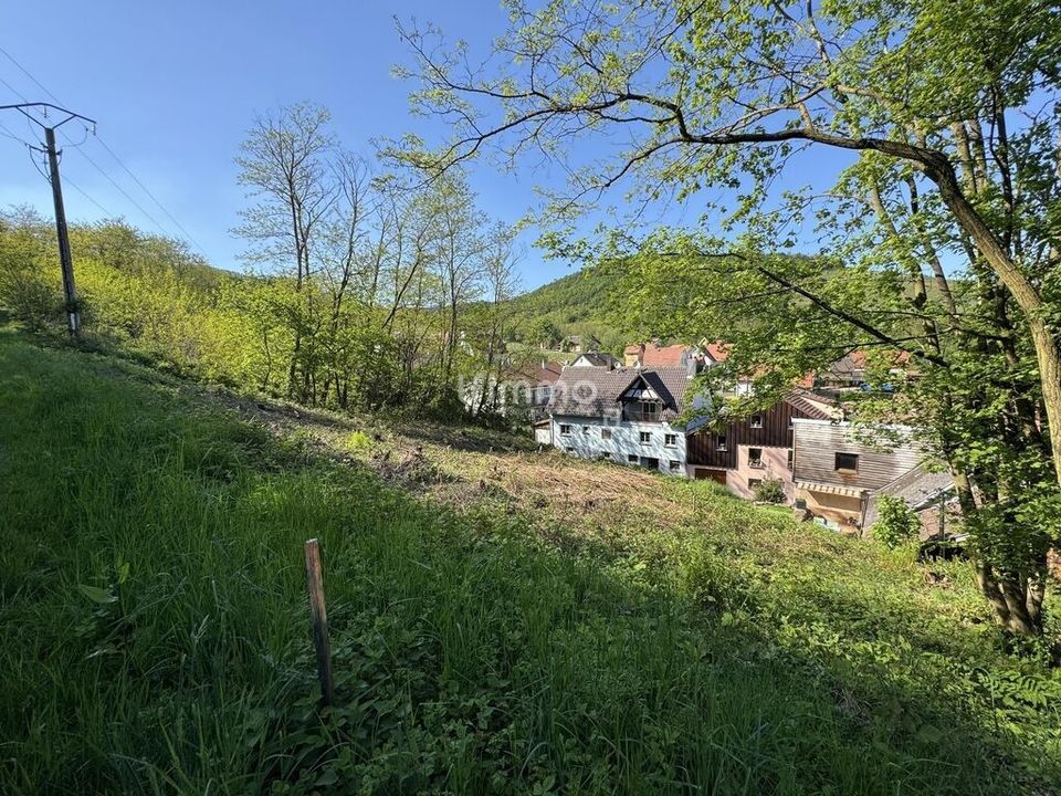 Helårsgrund i Orschwiller, Bas-Rhin - foto 5