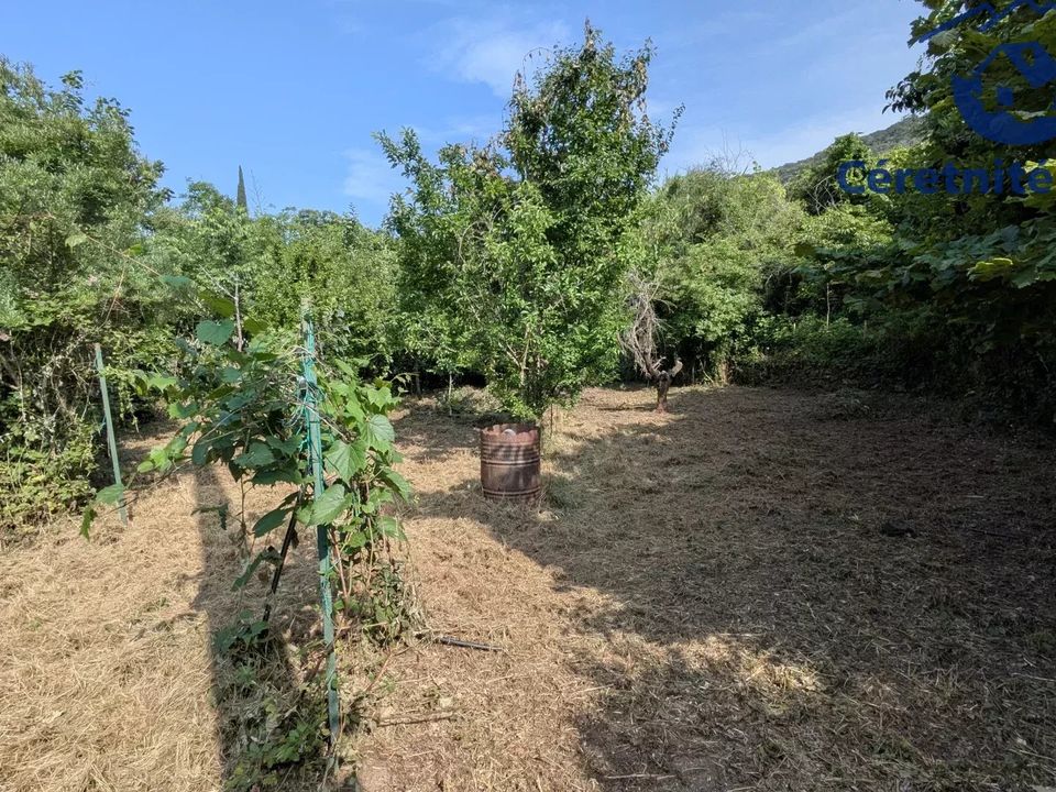 Tomt i Ceret, Pyrenees-Orientales - bilde 5
