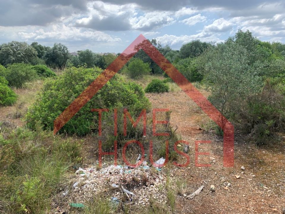 Grond in Assentiz, Santarem - foto 4