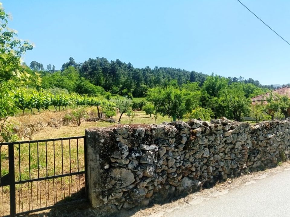Helårsgrund i Gouviaes e Ucanha, Viseu - foto 2