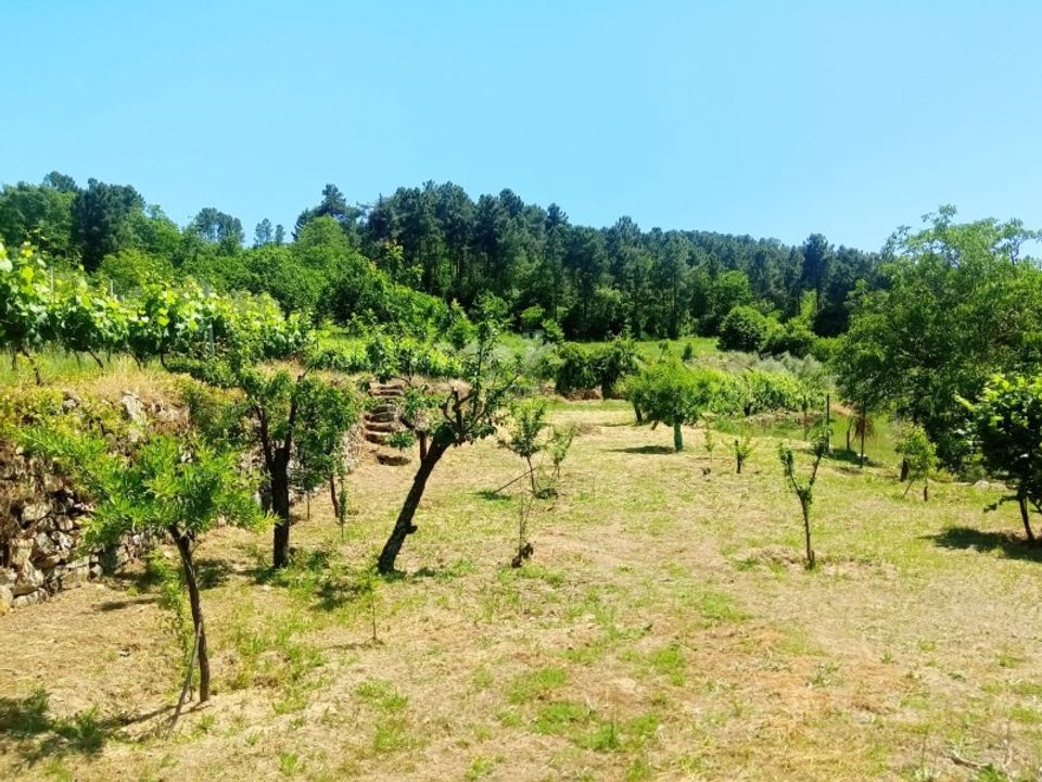 Helårsgrund i Gouviaes e Ucanha, Viseu - foto 4