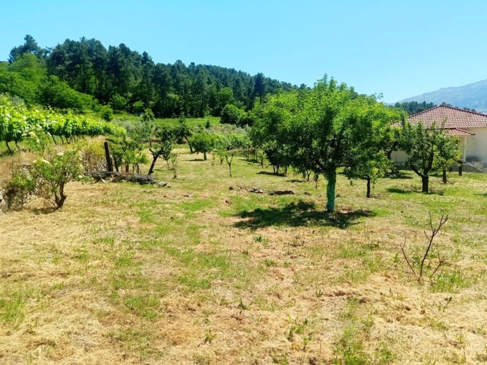 Helårsgrund i Gouviaes e Ucanha, Viseu - foto 5