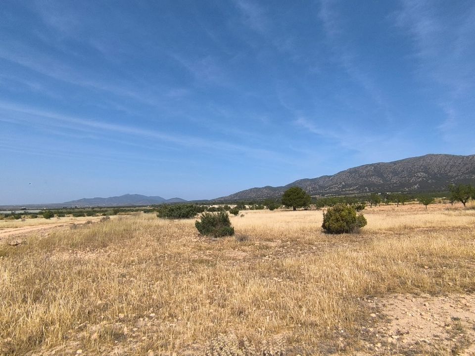 Helårsgrund i Monovar, Alicante - foto 1
