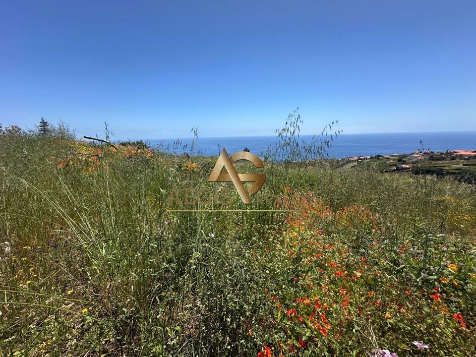 Helårsgrund i Calheta, Madeira - foto 5