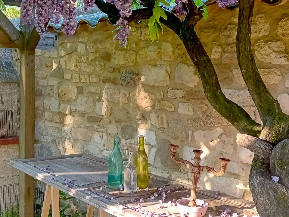 Villa i Blauzac, Gard - foto 4