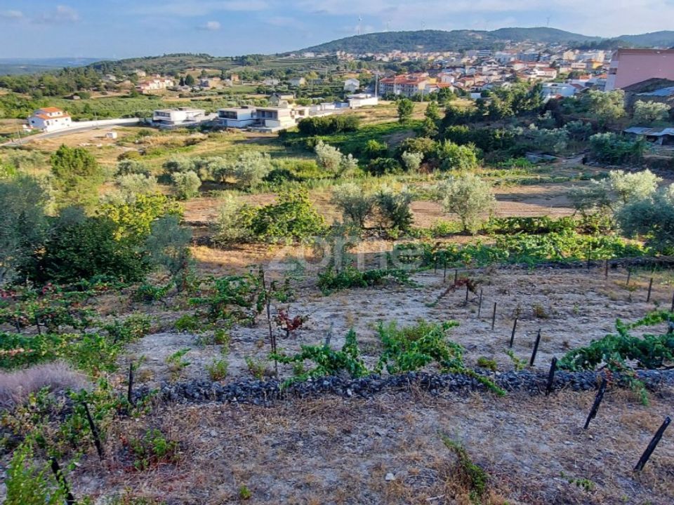 Farm i Moimenta da Beira, Viseu - foto 2
