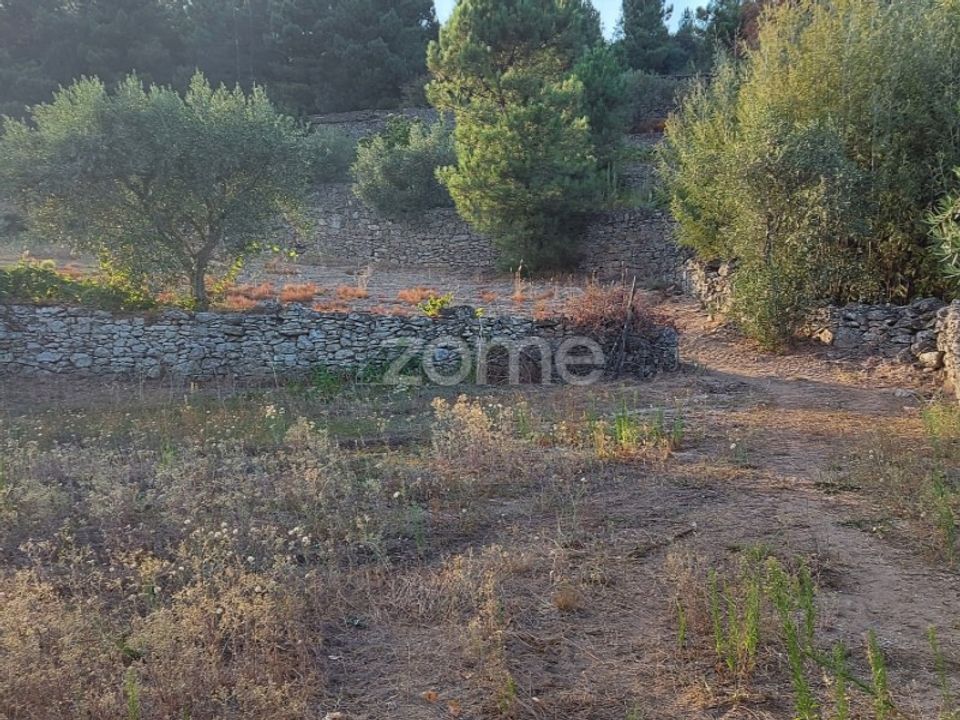 Farm i Moimenta da Beira, Viseu - foto 3