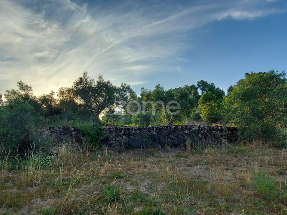 Farm i Moimenta da Beira, Viseu - foto 4