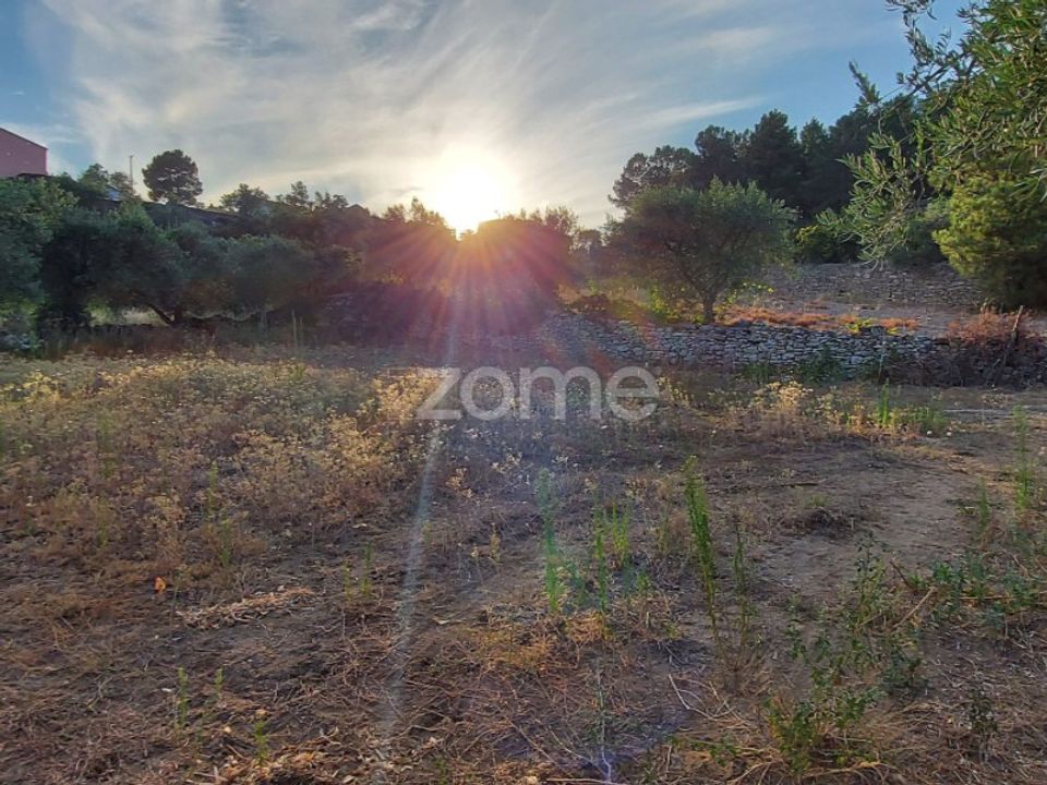 Farm i Moimenta da Beira, Viseu - foto 5