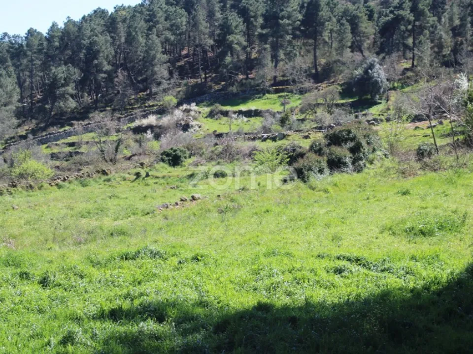 Helårsgrund i Moimenta da Beira, Viseu - foto 2