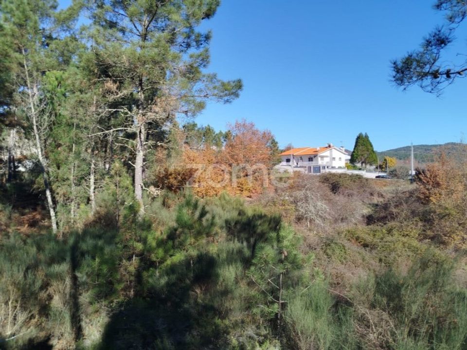 Helårsgrund i Moimenta da Beira, Viseu - foto 4