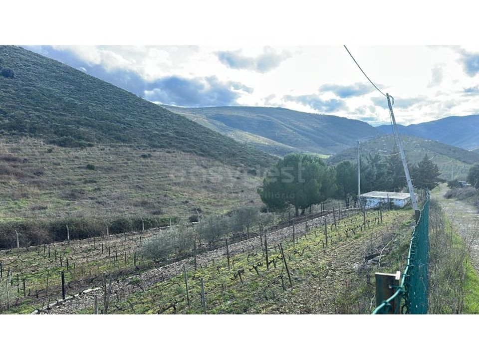 Helårsgrund i Freixo de Espada a Cinta, Braganca - foto 3