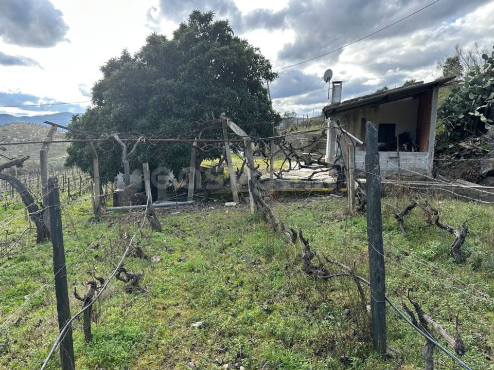Helårsgrund i Freixo de Espada a Cinta, Braganca - foto 5