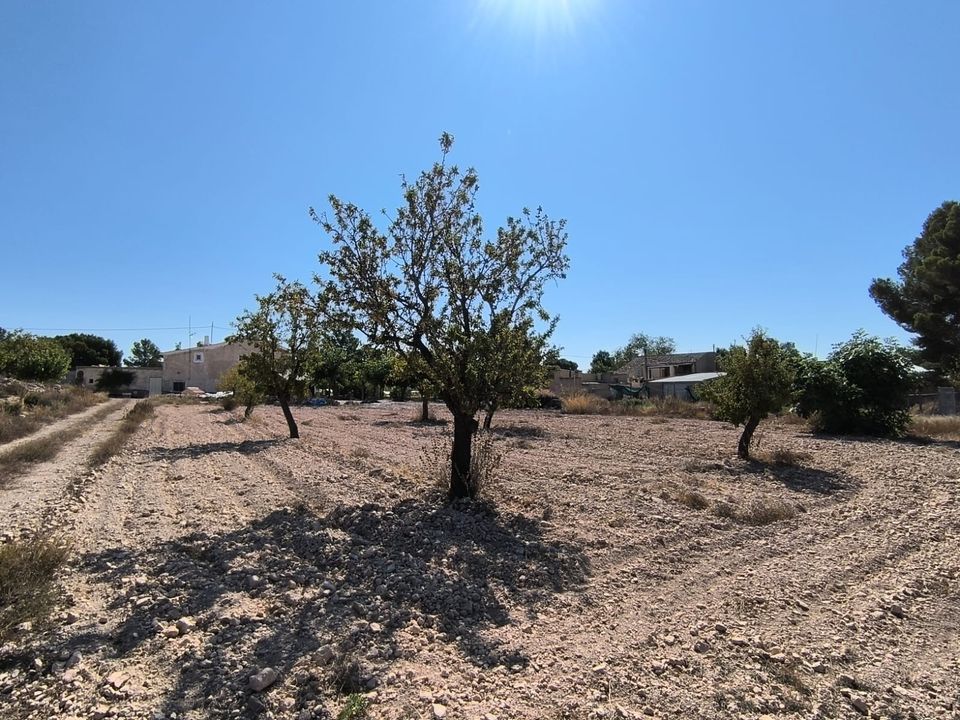 Helårsgrund i Monovar, Alicante - foto 2