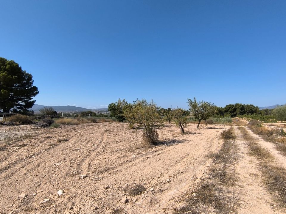 Helårsgrund i Monovar, Alicante - foto 5