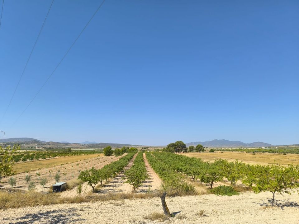 Helårsgrund i Monovar, Alicante - foto 1