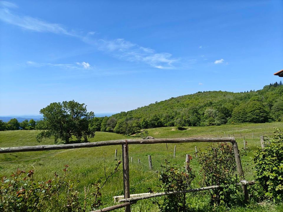 Villa i Pontassieve, Florence - foto 2