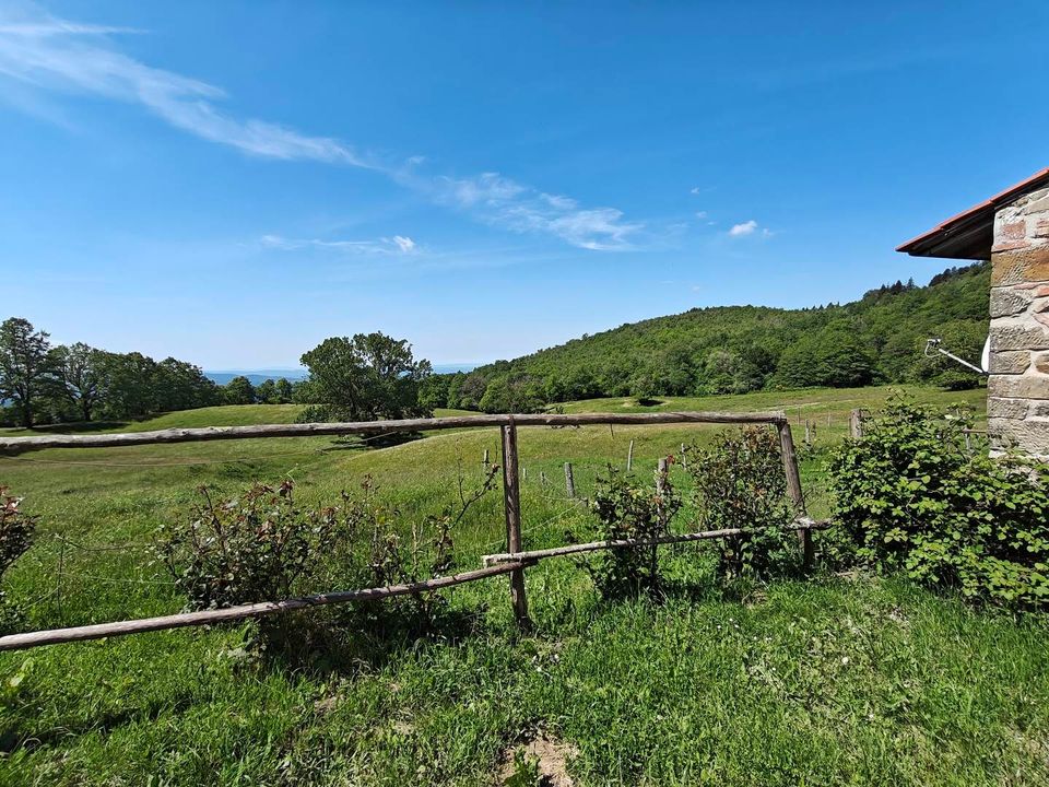 Villa i Pontassieve, Florence - foto 3