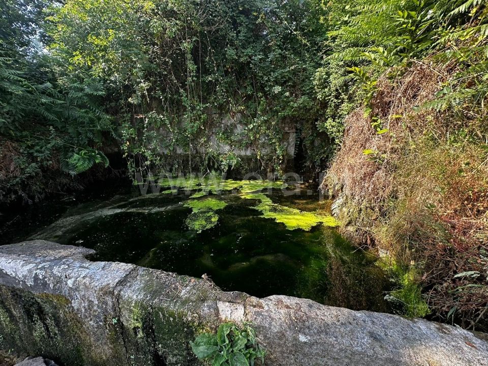 Helårsgrund i Tarouca, Viseu - foto 5