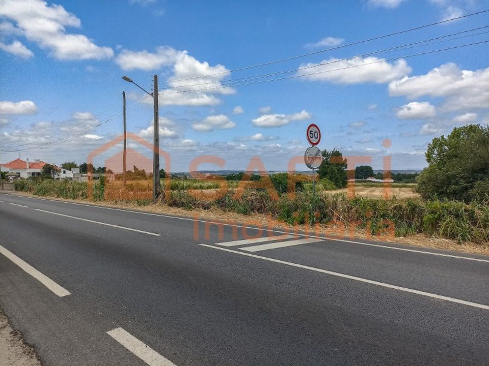Terra a Alpiarca, Santarem - foto 4