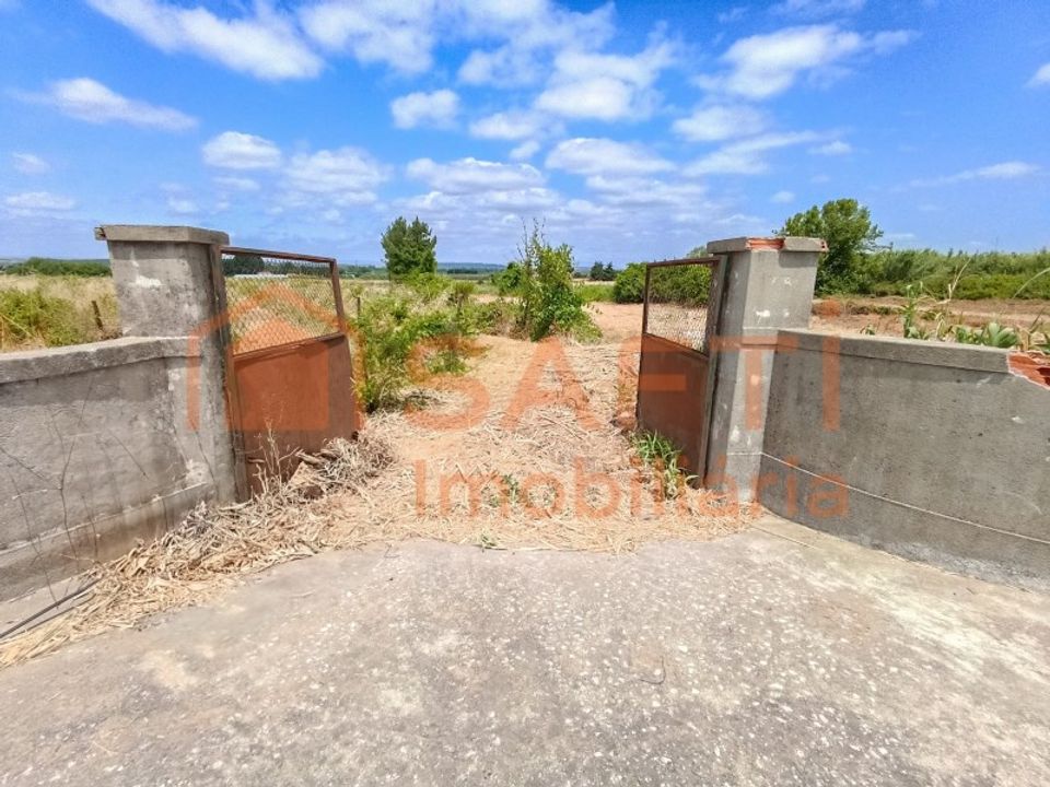 Terra a Alpiarca, Santarem - foto 1