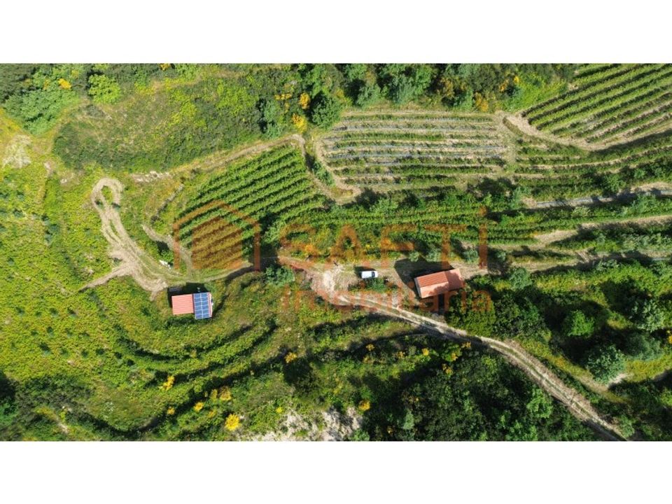 Erhvervsejendom i Mangualde, Viseu - foto 4