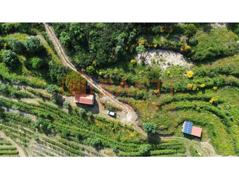 Erhvervsejendom i Mangualde, Viseu - foto 5