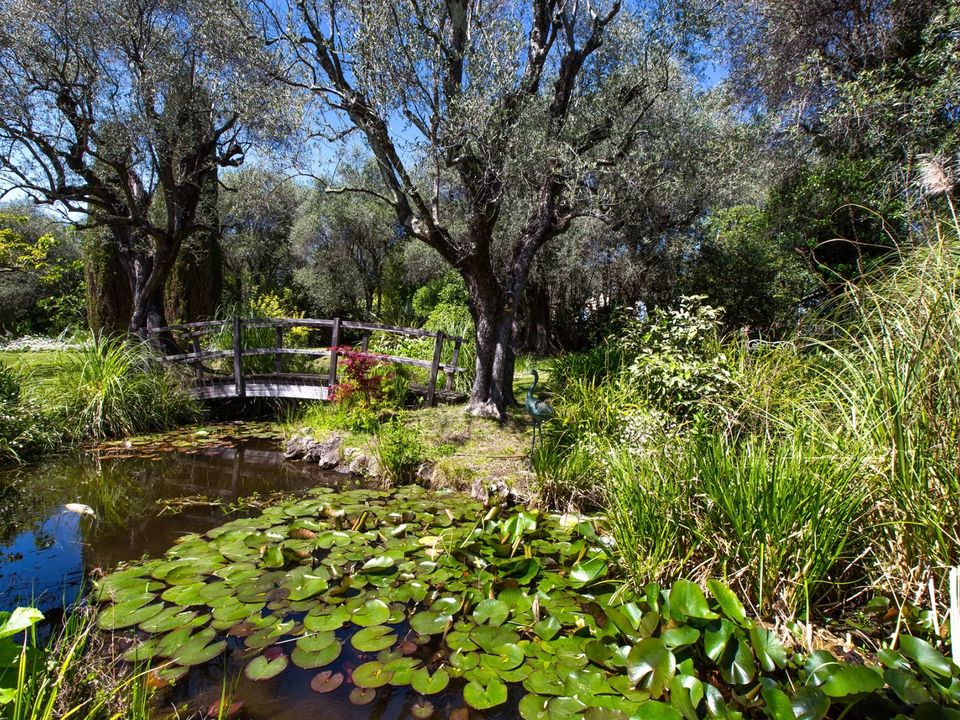 Villa i Grasse, Alpes-Maritimes - foto 3