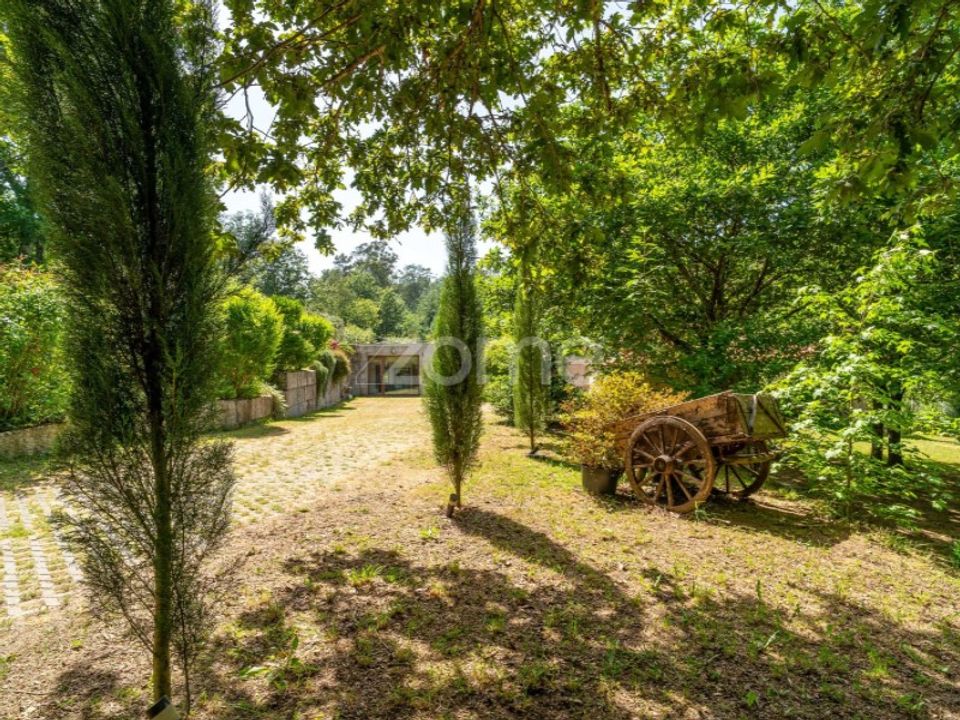 Farm i Santa Comba Dao, Viseu - foto 4
