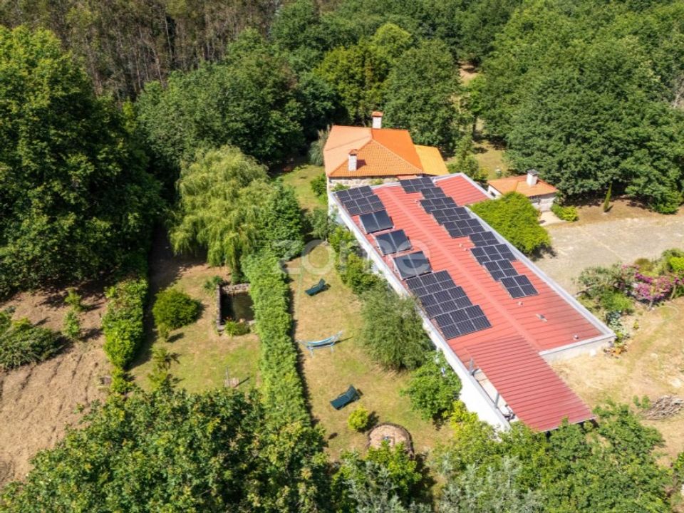 Farm i Santa Comba Dao, Viseu - foto 2