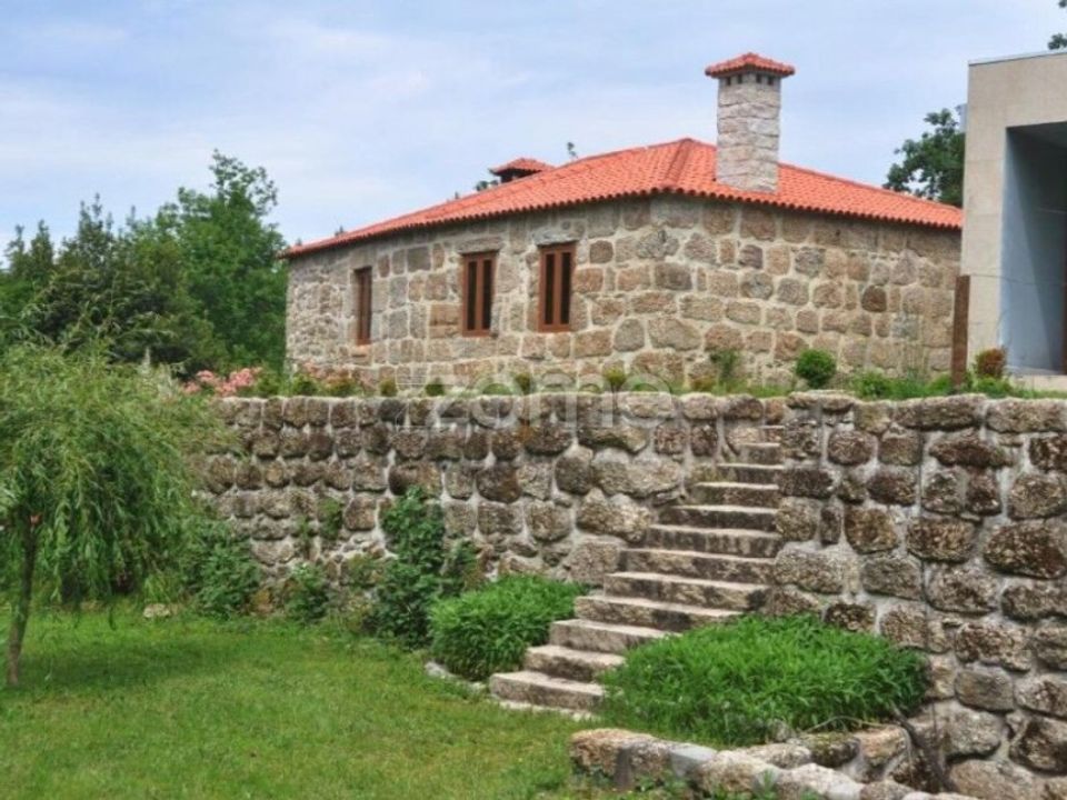 Farm i Santa Comba Dao, Viseu - foto 3