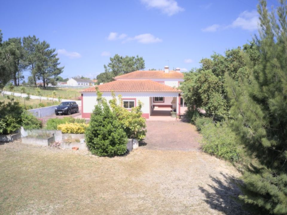 Gård i Cartaxo, Santarem - bilde 2