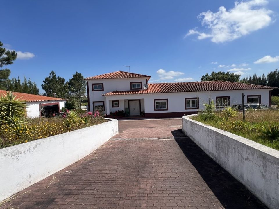 Gård i Cartaxo, Santarem - bilde 5