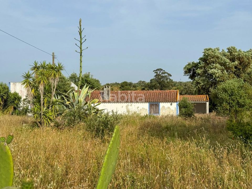 Farm i Cercal do Alentejo, Setubal - foto 1