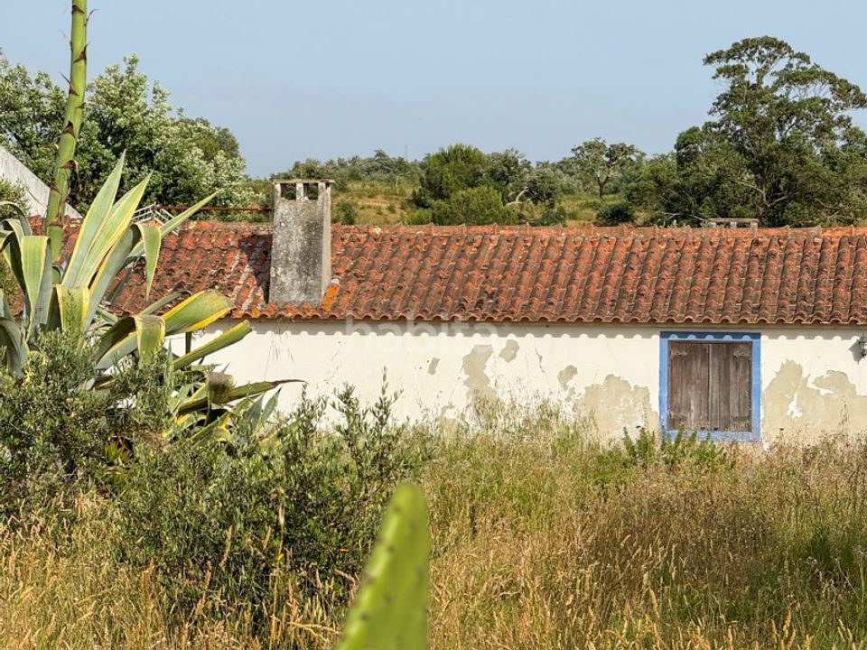 Farm i Cercal do Alentejo, Setubal - foto 3