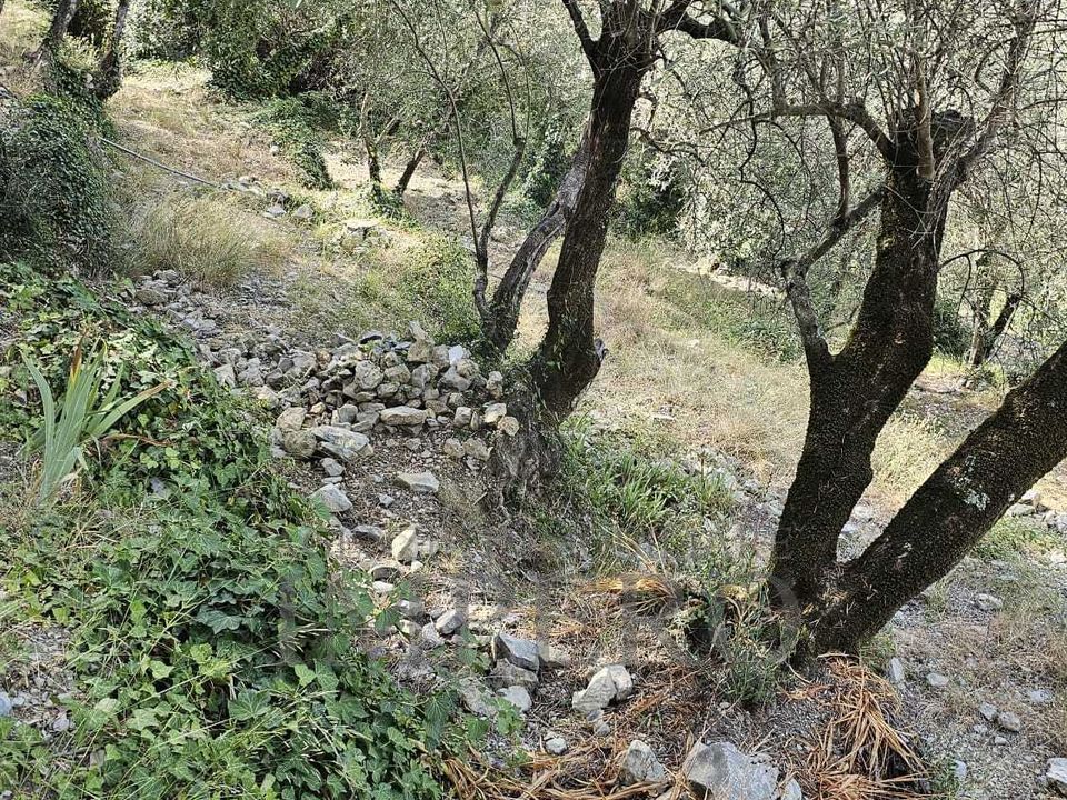 Villa i Airole, Imperia - foto 4