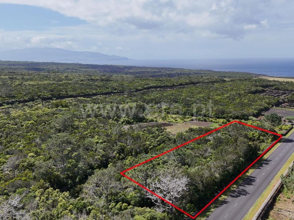 Helårsgrund i Madalena, Pico - foto 1