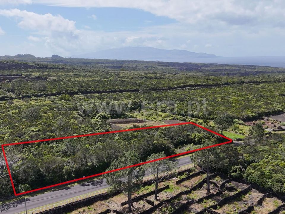 Helårsgrund i Madalena, Pico - foto 2